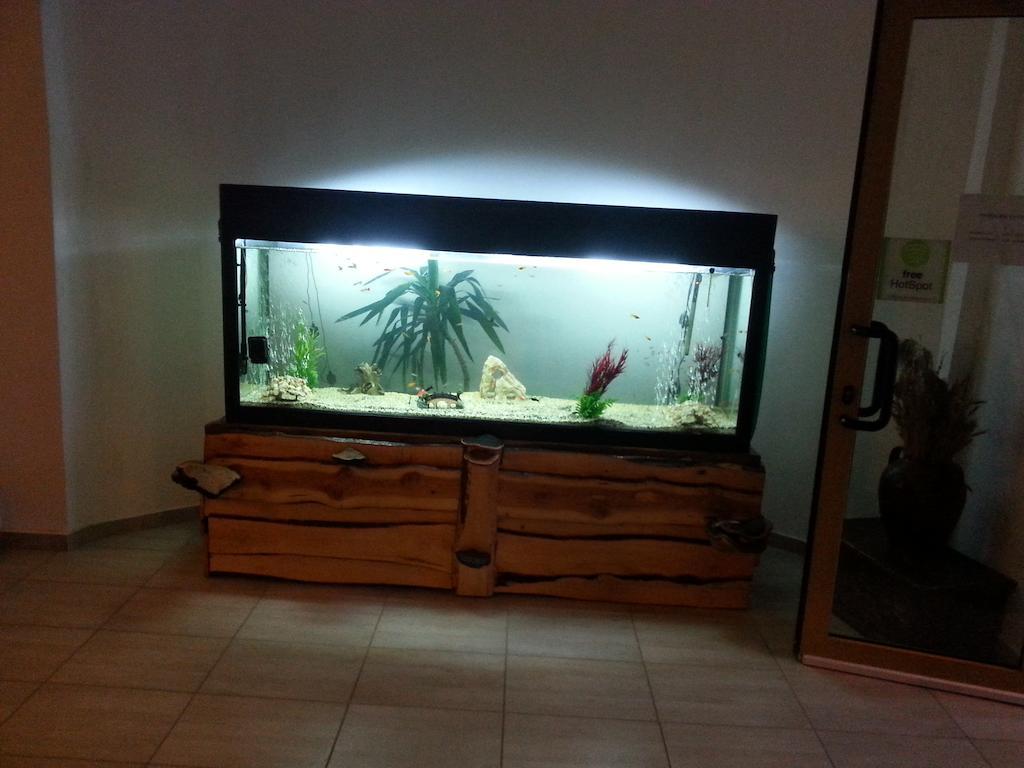 Cabana Trei Brazi Predeal Exterior foto